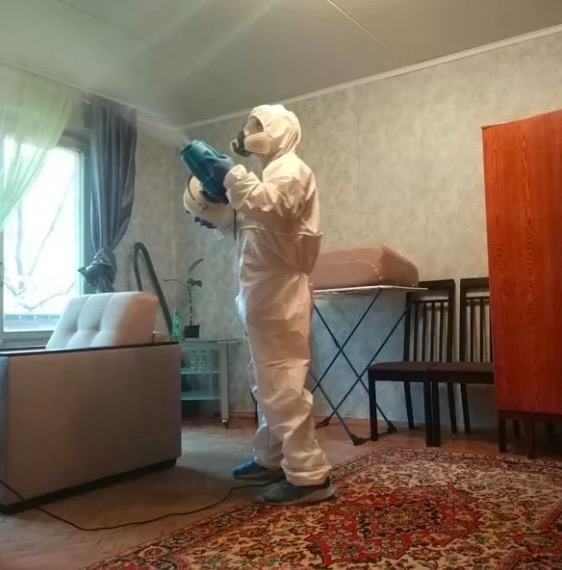 дезинсекция квартиры в Будогощи